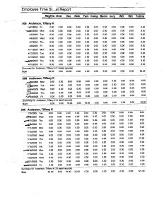 4-19-04_Employee-Time Sheet-Report_Page_05
